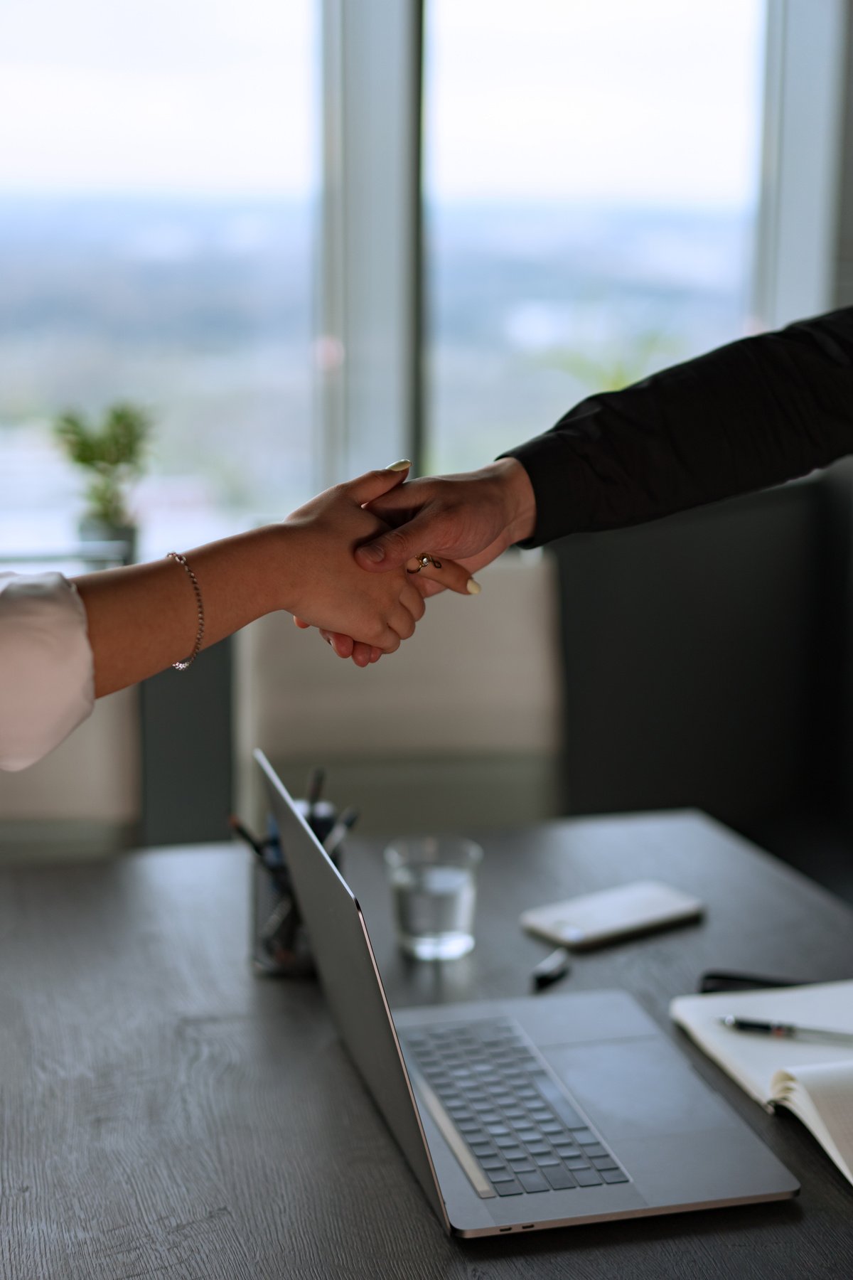 Two People Doing a Handshake